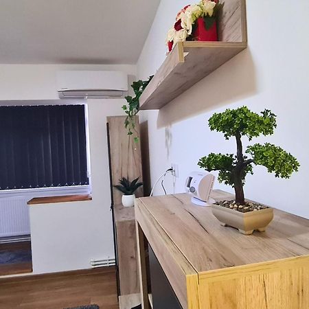 Cozy Apartment- Zona Centrala باكاو المظهر الخارجي الصورة