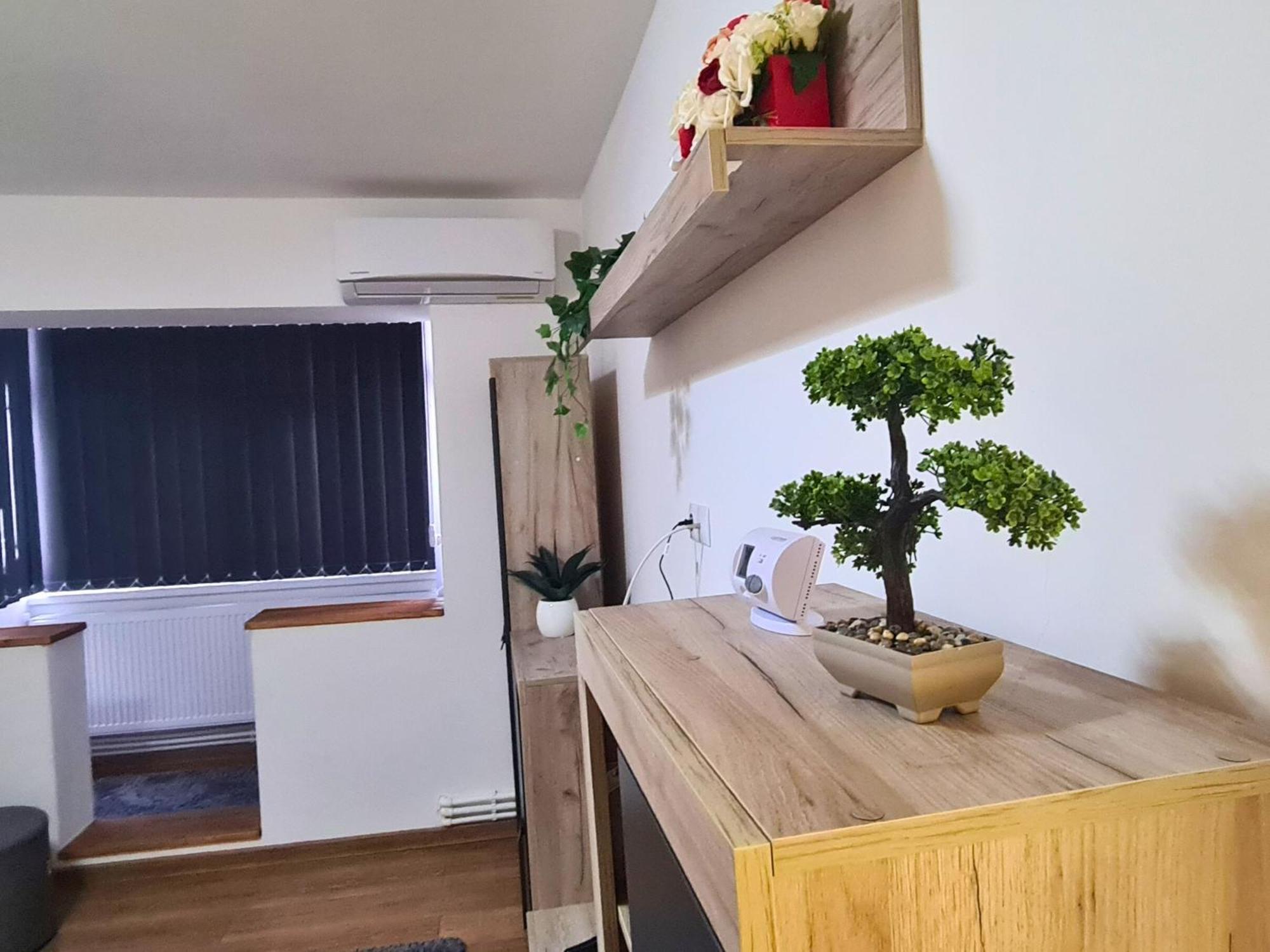 Cozy Apartment- Zona Centrala باكاو المظهر الخارجي الصورة